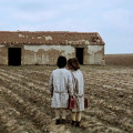 El espíritu de la colmena