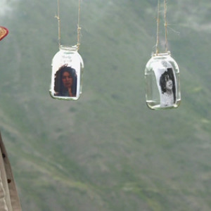 La Marsha de los elefantes