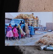 Quinuera