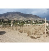 Sitio 53