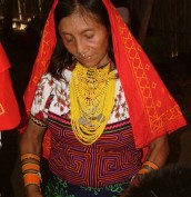 Tule kuna