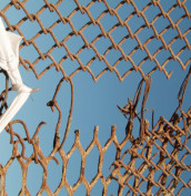 Una frontera todas las fronteras