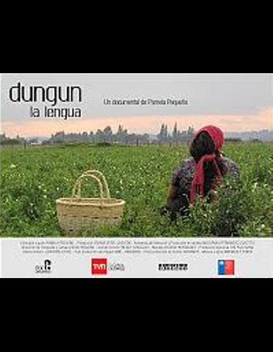 Dungun, la lengua