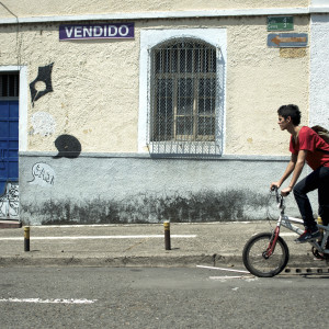 Los hongos